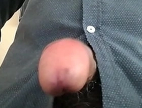 Bbc
